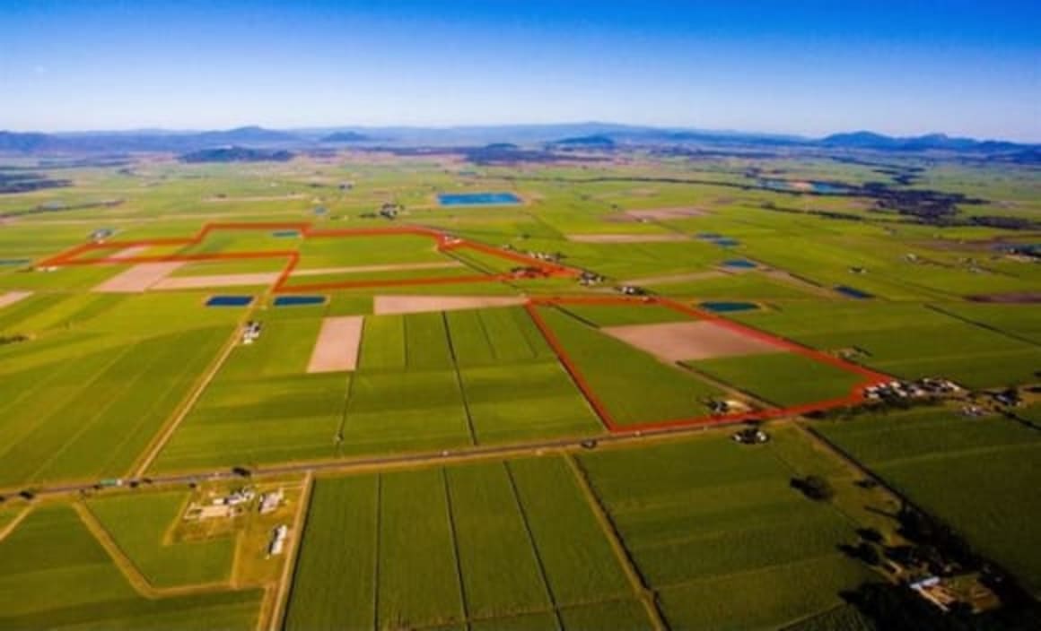 Mackay cane farm sales continue at a steady pace HTW rural